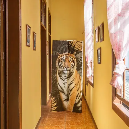 Casa Pollo Buen Lugar بيت للعطل *